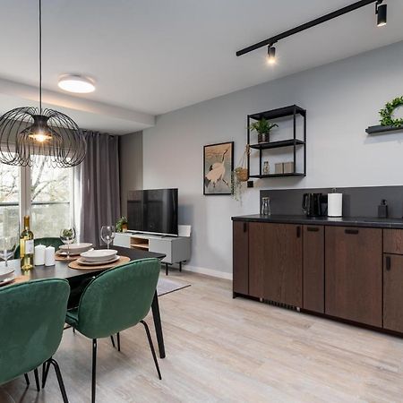Citycenterapartments-11/19 Bielsko-Biała Buitenkant foto
